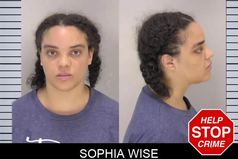 Sophia Wise Mugshots