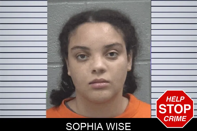 Sophia Wise Mugshots