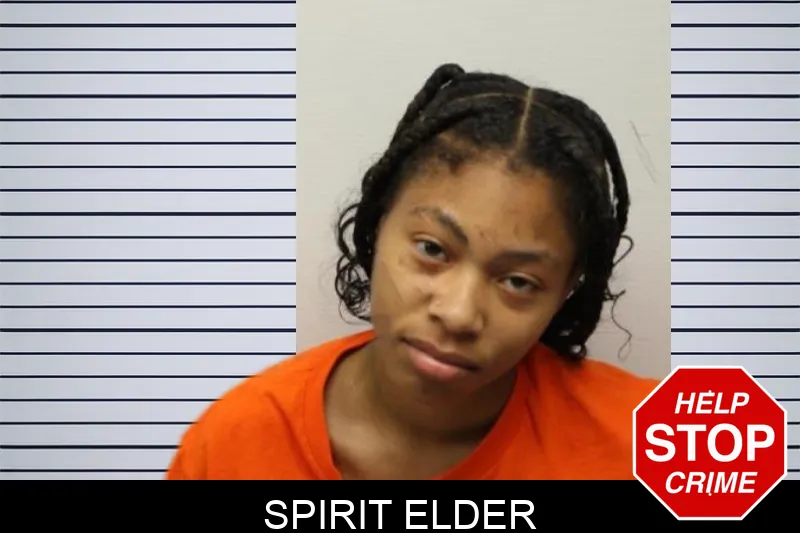 Spirit Elder Mugshots