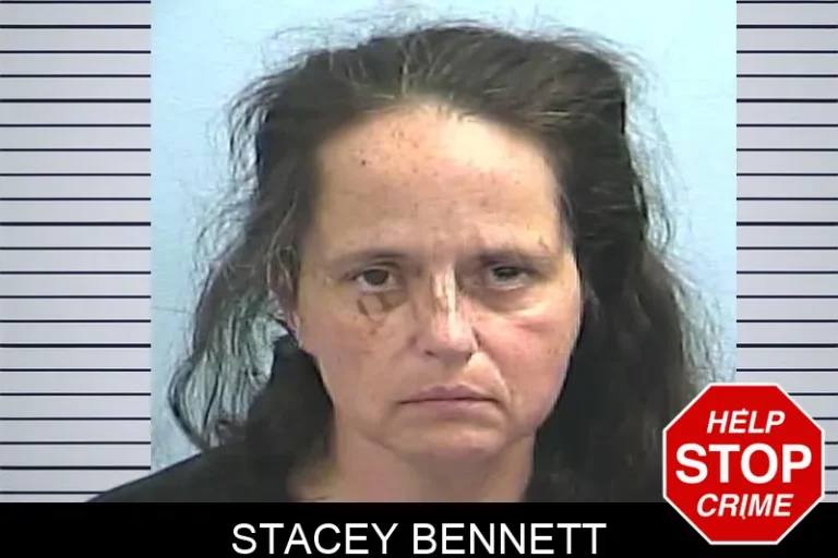 Stacey Bennett mugshot – Dawson County , Georgia Stacey Bennett