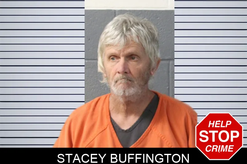 Stacey Buffington Mugshots