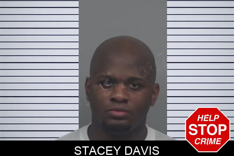 Stacey Davis Mugshots