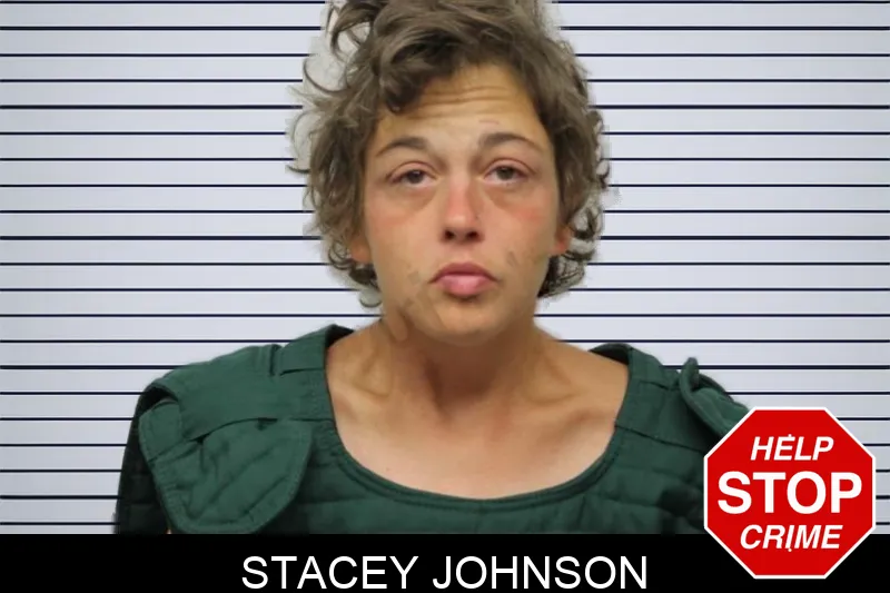 Stacey Johnson Mugshots
