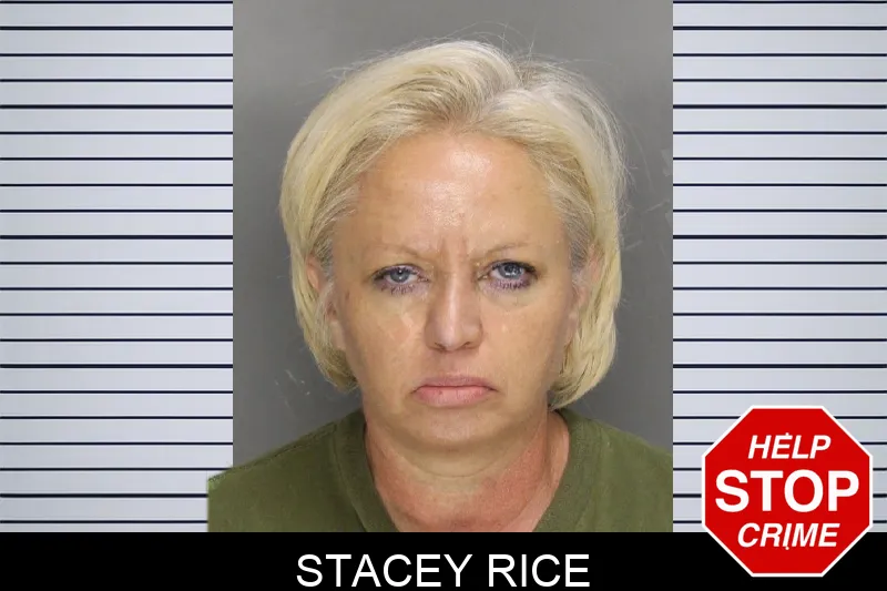 Stacey Rice mugshot