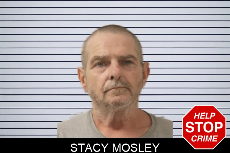 Stacy Mosley Mugshots
