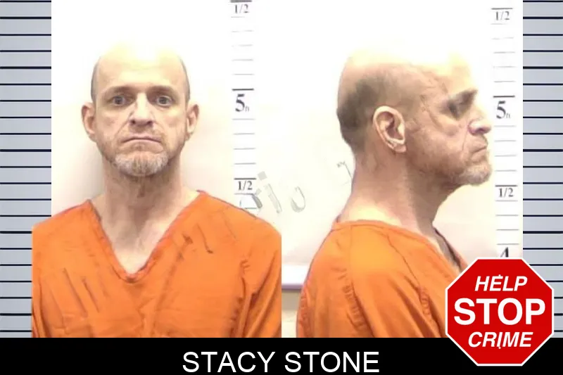 Stacy Stone Mugshots