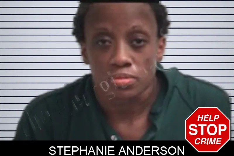 Stephanie Anderson mugshot