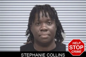 Stephanie Collins mugshot