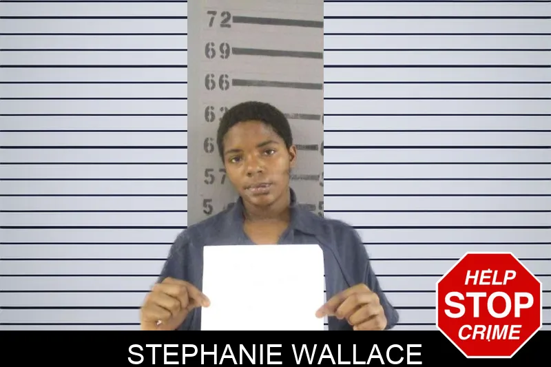 Stephanie Wallace Mugshots