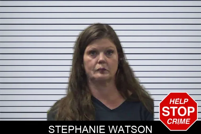 Stephanie Watson mugshot – Gilmer County , Georgia Stephanie Watson