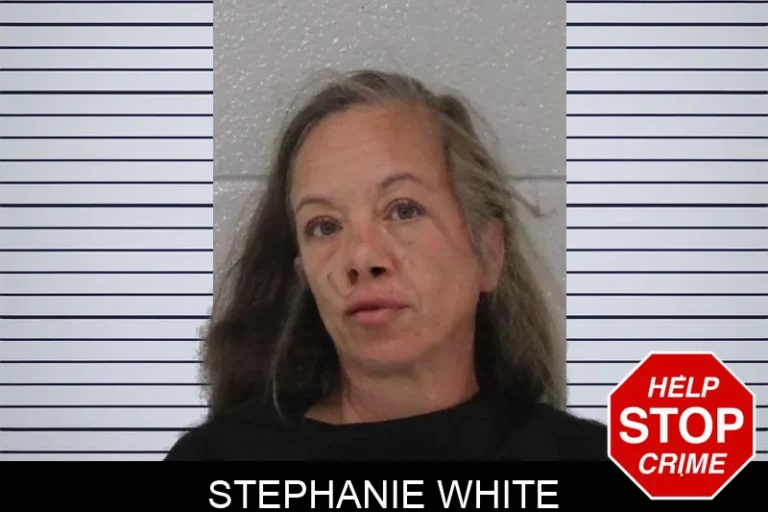 Stephanie White mugshot – Gwinnett County , Georgia Stephanie White