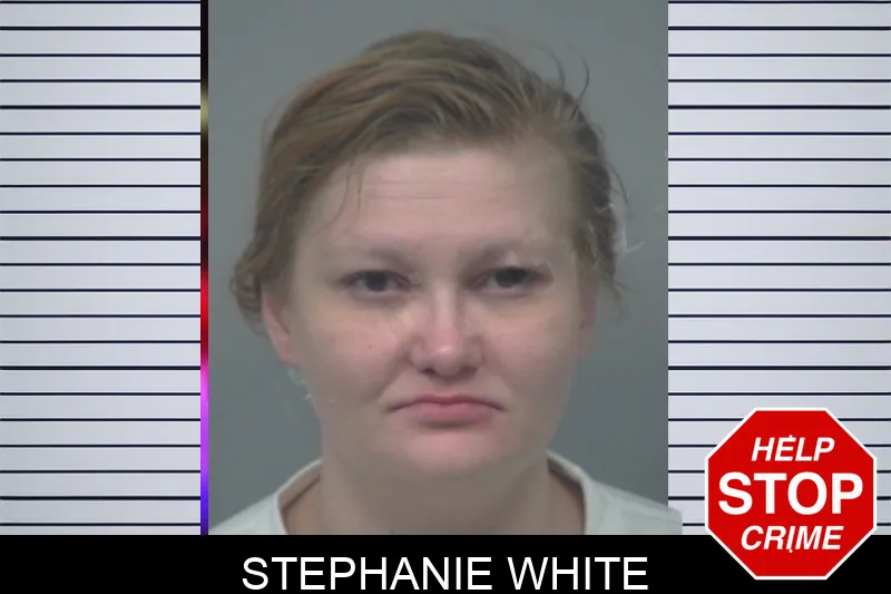Stephanie White mugshot – Gwinnett County , Georgia Stephanie White mugshot