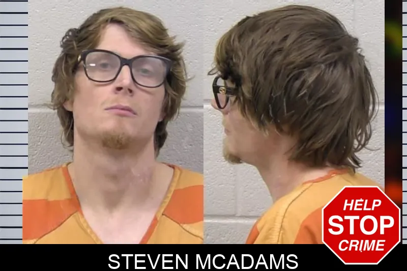 Steven McAdams mugshot