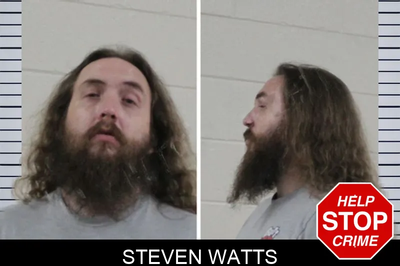 Steven Watts mugshot – Houston County , Georgia Steven Watts mugshot