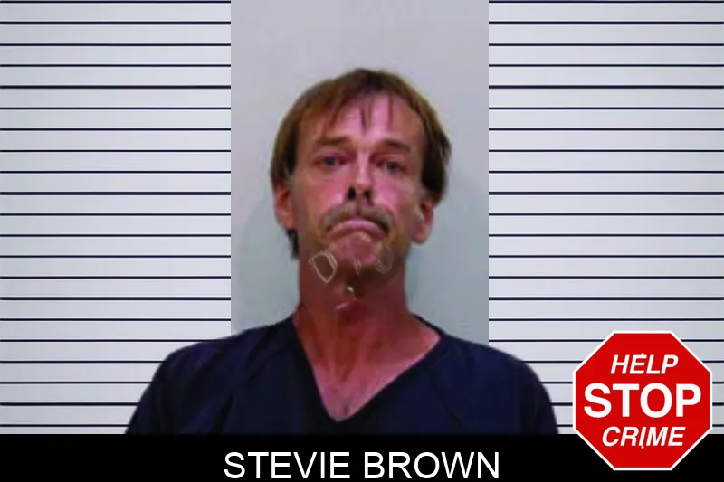 Stevie Brown mugshot – Bartow County , Georgia Stevie Brown mugshot
