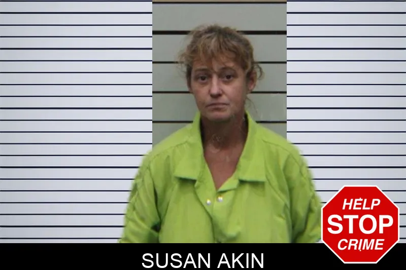 Susan Akin Mugshots