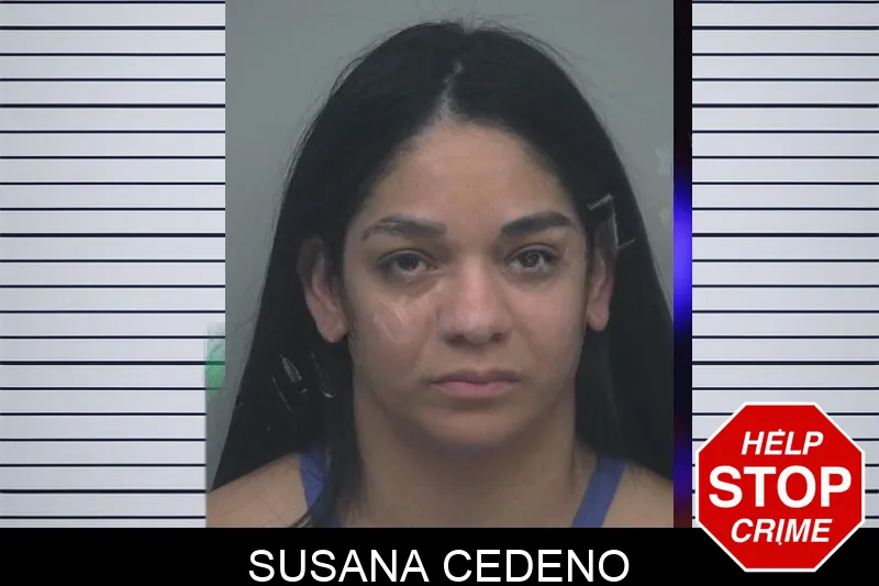 Susana Cedeno Mugshots