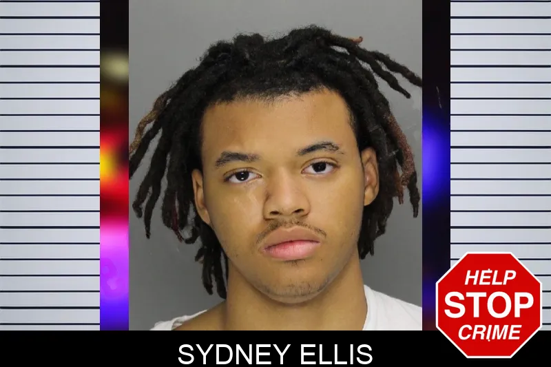 Sydney Ellis Mugshots