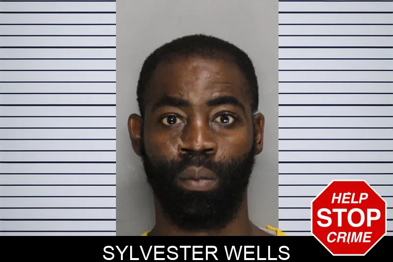 Sylvester Wells mugshot