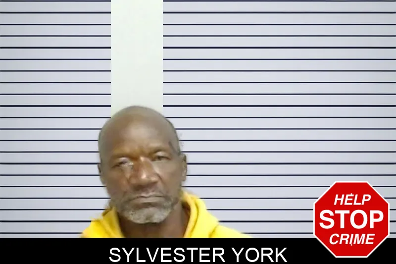 Sylvester York Mugshots