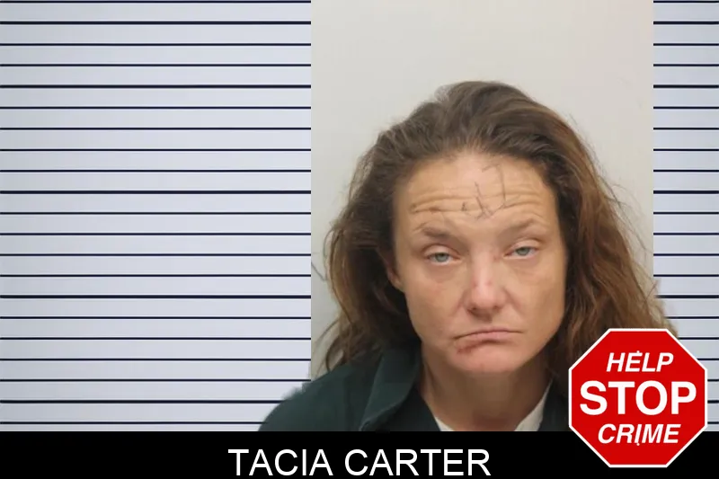 Tacia Carter Mugshots