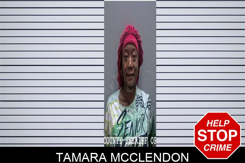 Tamara McClendon Mugshots