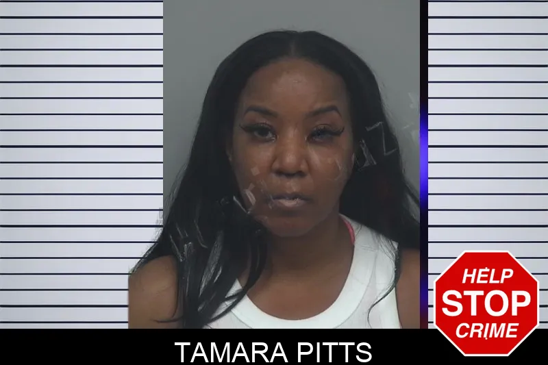 Tamara Pitts mugshot – Gwinnett County , Georgia Tamara Pitts mugshot