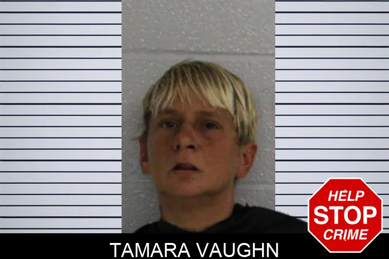 Tamara Vaughn Mugshots