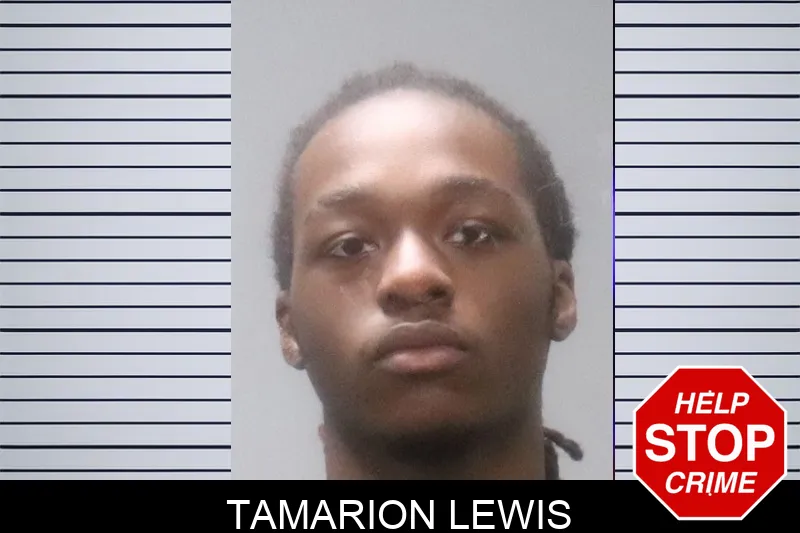 Tamarion Lewis Mugshots