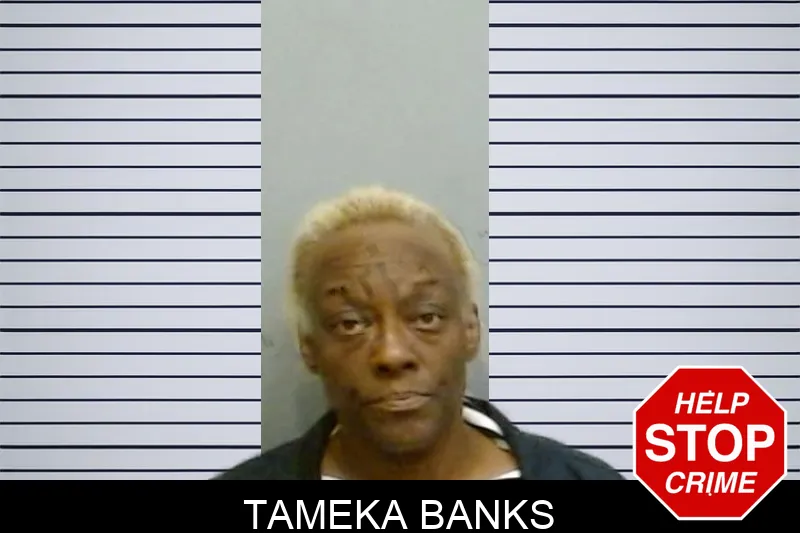 Tameka Banks Mugshots