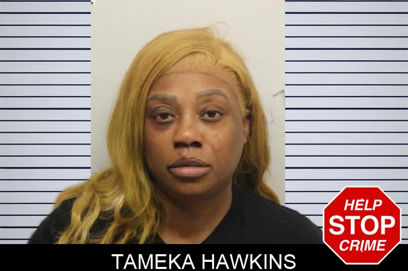 Tameka Hawkins mugshot – Chatham County , Georgia Tameka Hawkins mugshot