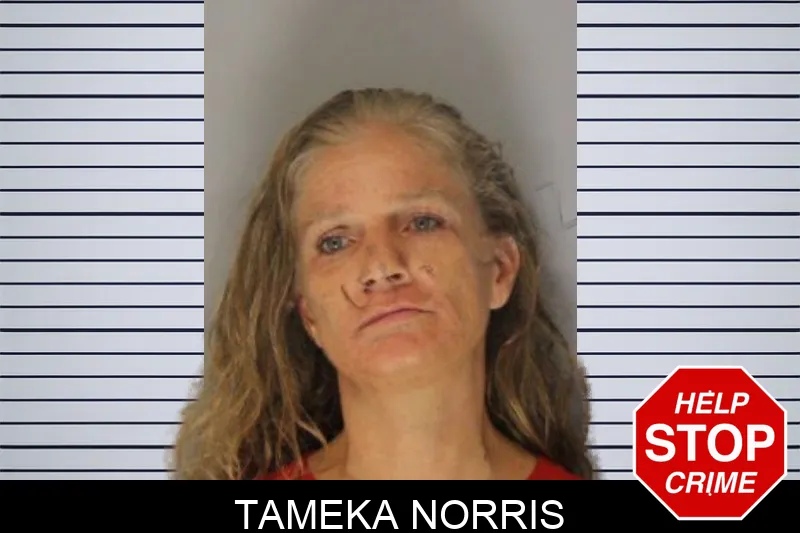 Tameka Norris Mugshots