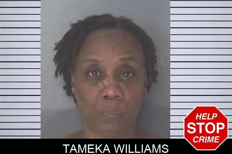 Tameka Williams Mugshots