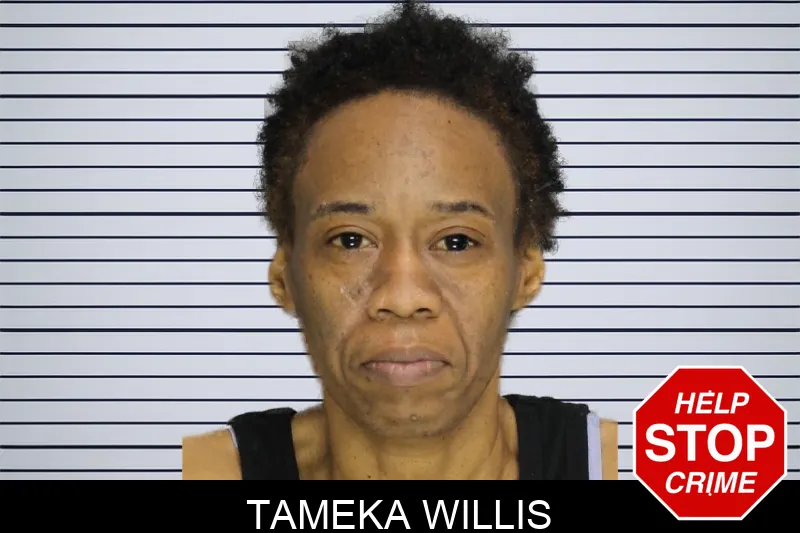 Tameka Willis Mugshots