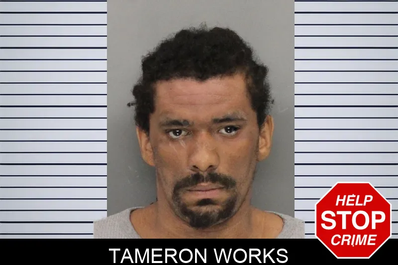Tameron Works mugshot