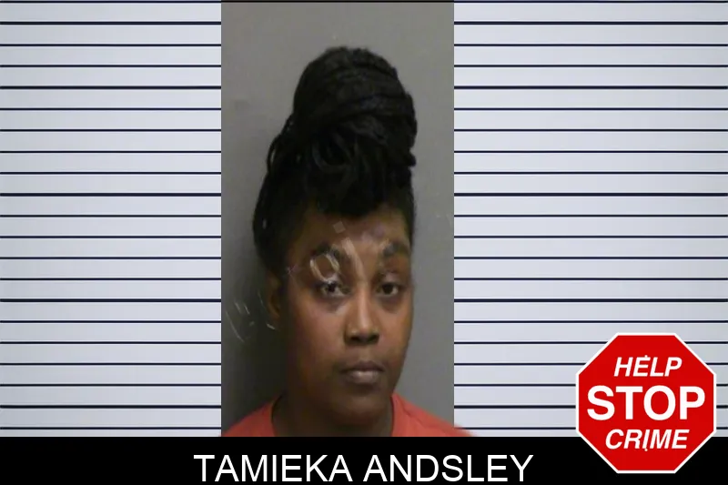 Tamieka Andsley Mugshots