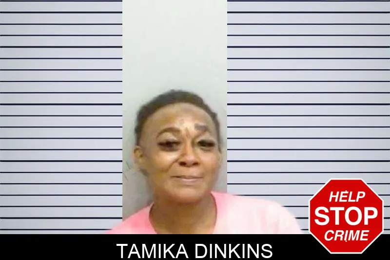 Tamika Dinkins mugshot