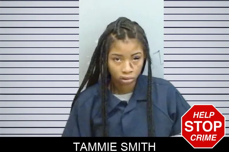 Tammie Smith mugshot – Fulton County , Georgia Tammie Smith mugshot