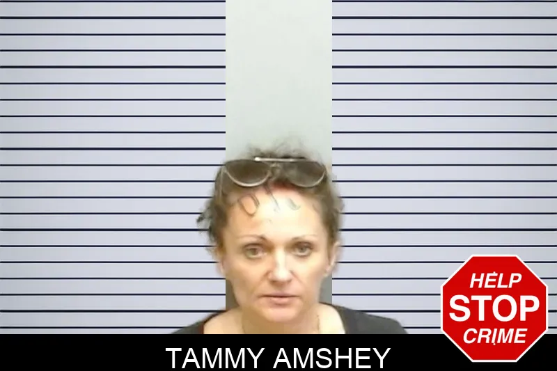 Tammy Amshey mugshot – Fulton County , Georgia Tammy Amshey