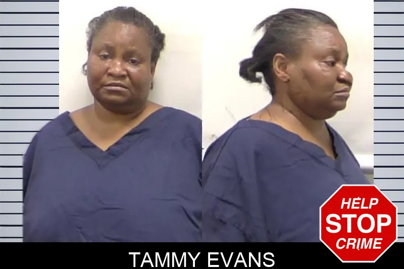 Tammy Evans Mugshots