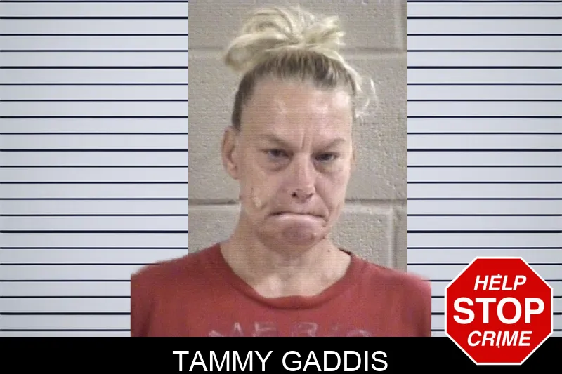 Tammy Gaddis Mugshots