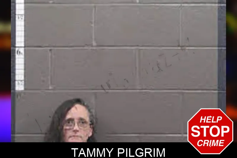 Tammy Pilgrim Mugshots