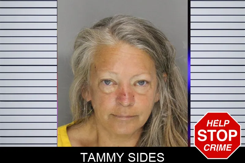 Tammy Sides mugshot – Cobb County , Georgia Tammy Sides mugshot
