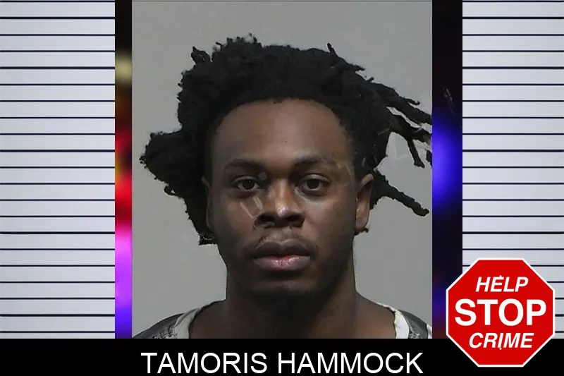 Tamoris Hammock Mugshots