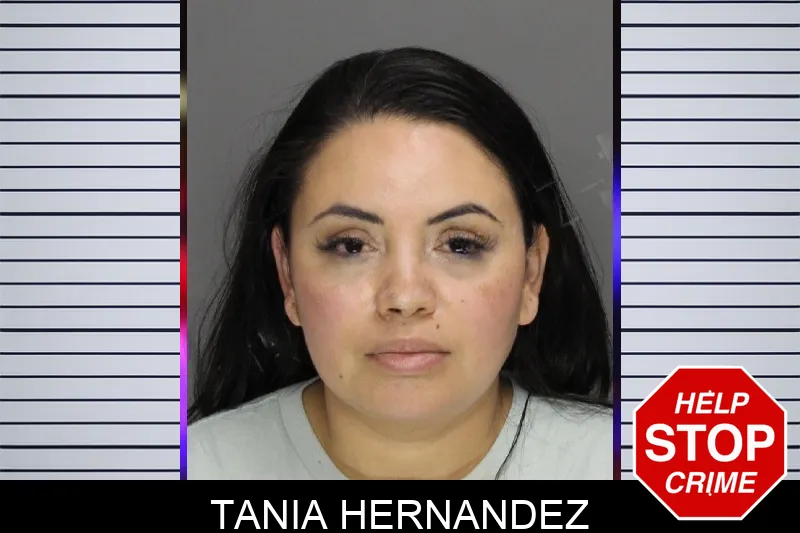 Tania Hernandez Mugshots