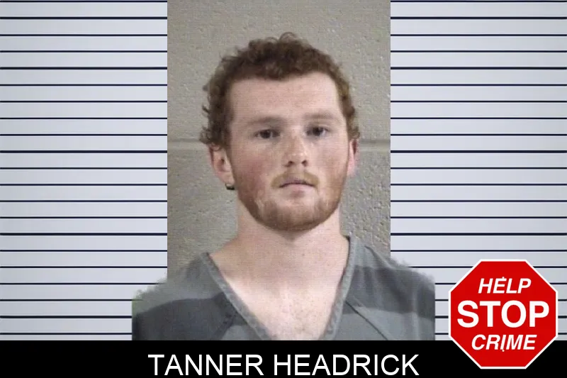 Tanner Headrick Mugshots