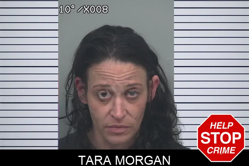 Tara Morgan Mugshots