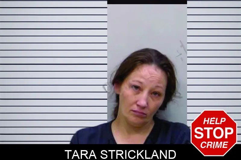 Tara Strickland Mugshots