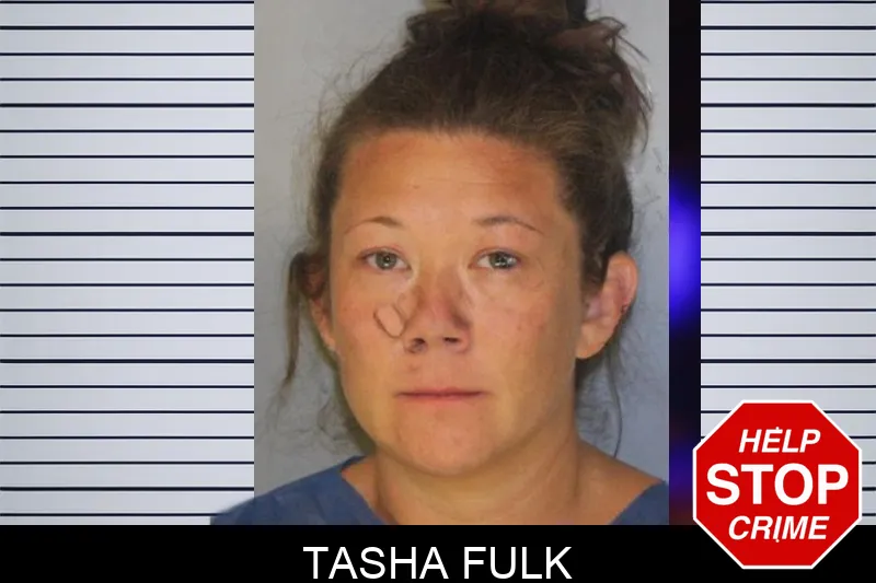 Tasha Fulk Mugshots