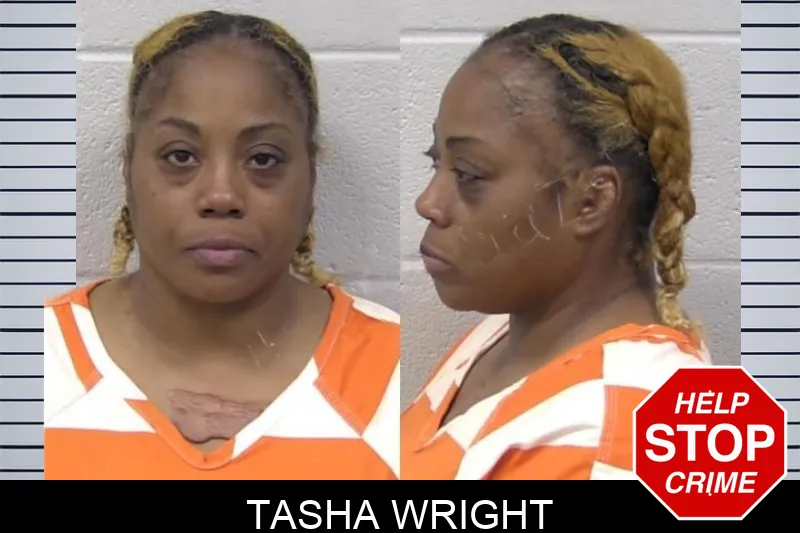Tasha Wright mugshot – Paulding County , Georgia Tasha Wright mugshot
